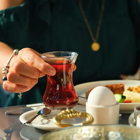 Hotel Megaron Homes Cunda Island