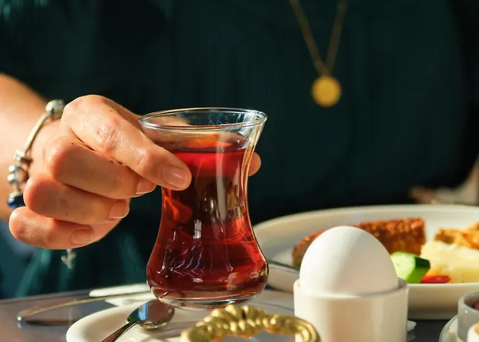 Hotel Megaron Homes Cunda Island